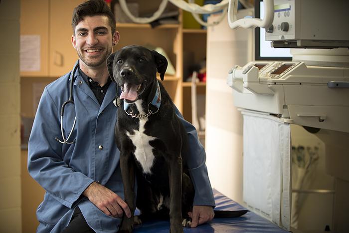 Pursue Your Passion as a Doctor of Veterinary Medicine! | Undergraduate  Admission 2022