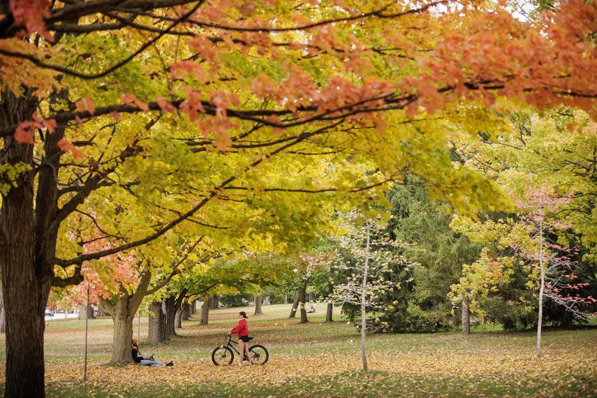 A woman stands with a bicycle and talks to another person sitting against a tree at a park in Guelph.
