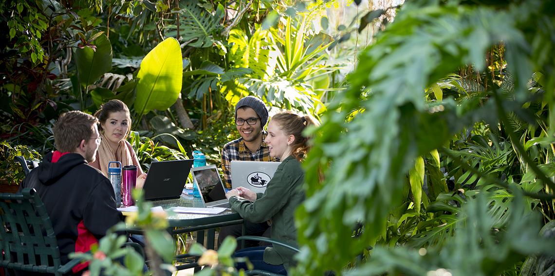 Four students sit at a table during a study session in a greenhouse on campus.