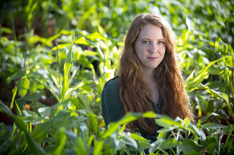 Bachelor of Science in Agriculture student stands among corn plants