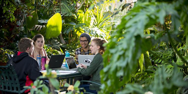 Four students sit at a table during a study session in a greenhouse on campus.