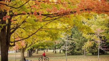 A woman stands with a bicycle and talks to another person sitting against a tree at a park in Guelph.